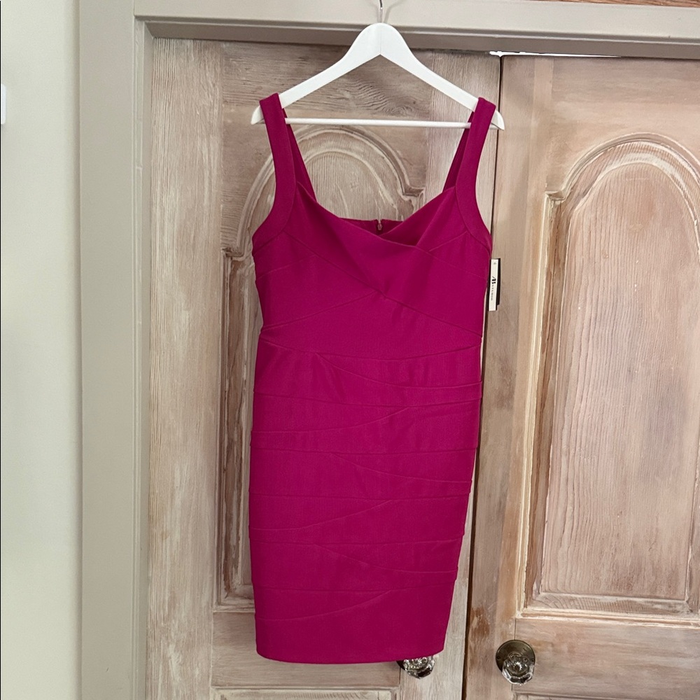 AB Studio Fuchsia Mini Dress